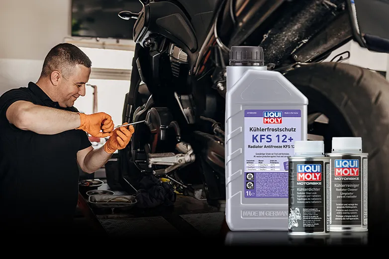 Motorradkette, Kettenspray und Bremsenreiniger